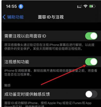 潜山苹果14维修网点分享iPhone14注视感知功能有什么用 