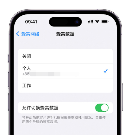 潜山苹果维修服务分享如何在iPhone上使用双卡 